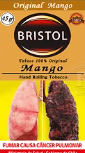 Tabaco Bristol Mango 45gr.