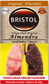 Tabaco Bristol Almendra 45gr.